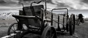 Special Brew - With Caller