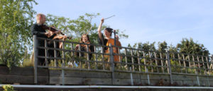 Bristol Ceilidh Quartet: Wedding Barn Dance and Ceilidh Band