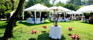 Wigornia String Quartet